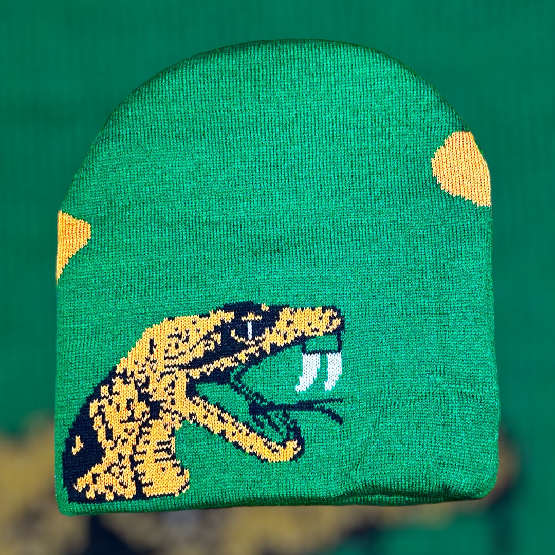Green-Orange FAMU Beanie